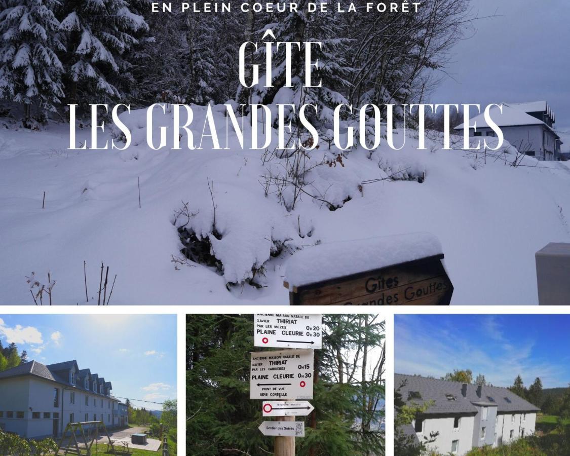 Gites Les Grandes Gouttes Le Syndicat المظهر الخارجي الصورة